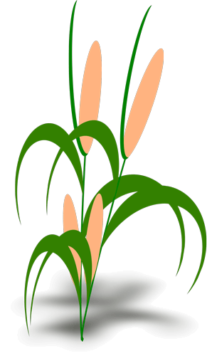 naatalalame