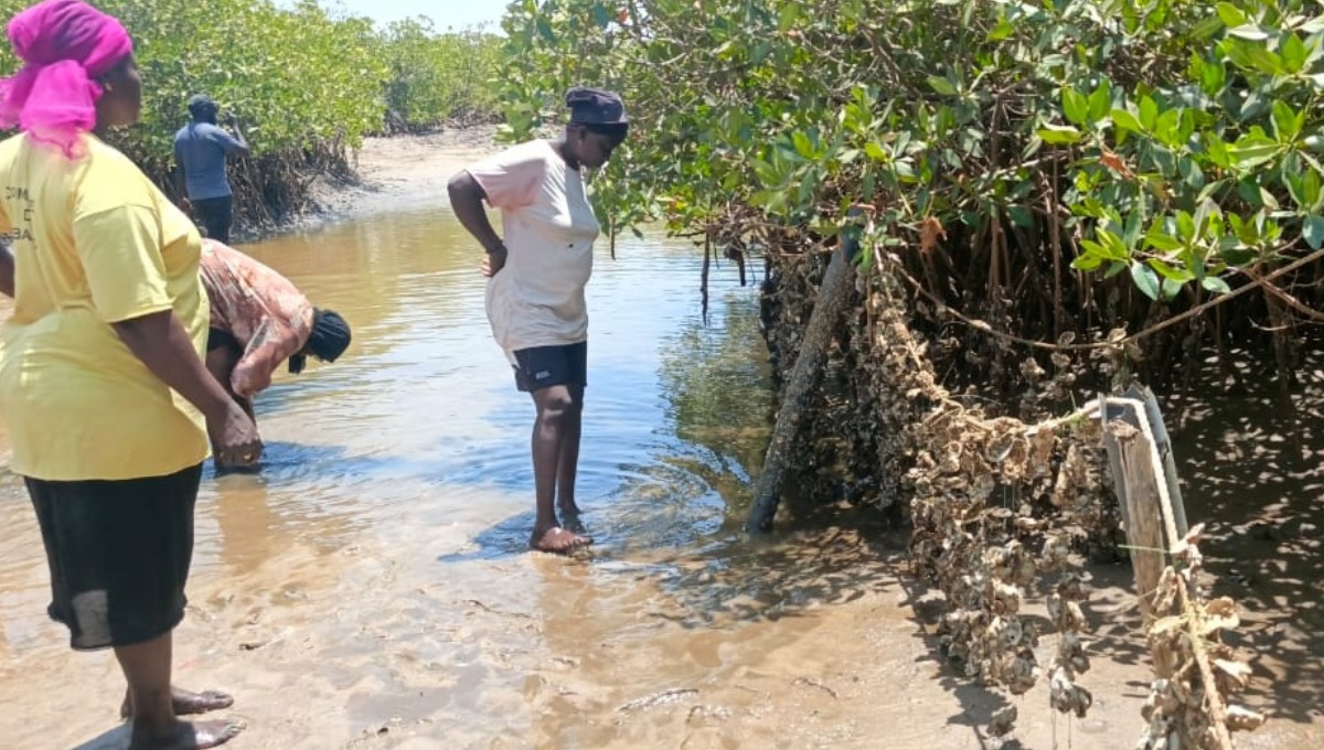 naatalalame